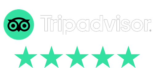 TripAdvisor
